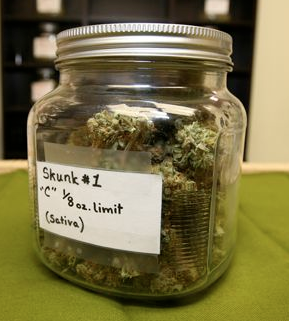 best place to get marijuana seeds online