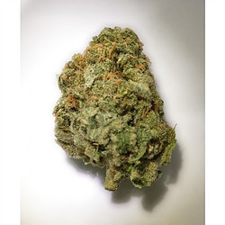 blue moonshine weed seeds