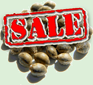 best prices on marijuana seeds