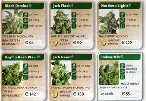can you buy cannabis seeds in washington