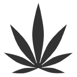 pro marijuana