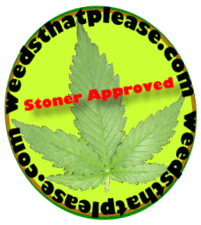 attitude cannabis seeds review