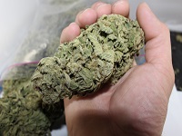 marijuana articles