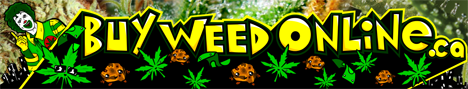 buy cannabis seeds review