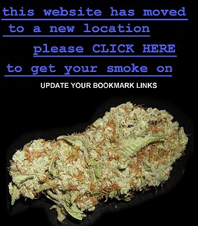 buy cheap weed seeds uk