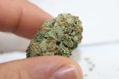 can i smoke marijuana seeds