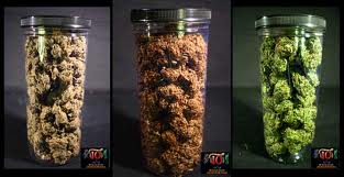 buy marijuana seeds legally