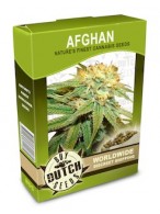 auto pyramid cannabis seeds