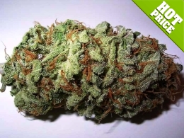 good marijuana seed