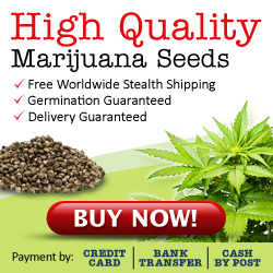 california red marijuana seeds