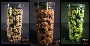 best site to order cannabis seeds 2012