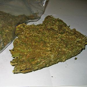 best site buy cannabis seeds uk
