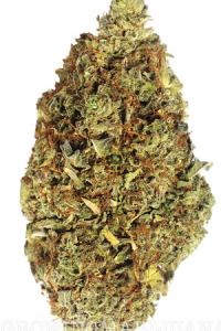 marijuana seeds for sale online