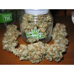 blue cheese weed seeds sale