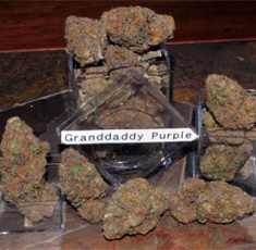 ganja seeds online