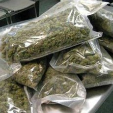 cannabis clinic