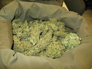 marijuana resin