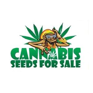 canabis seeds uk
