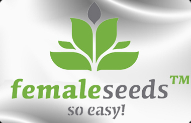 buy cannabis seeds from california