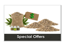 best place to buy marijuana seeds canada