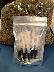 best temp for cannabis seed germination