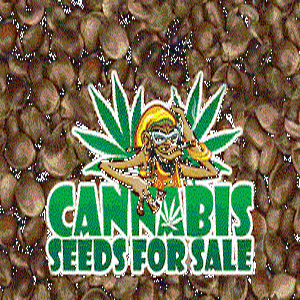 are brown weed seeds good