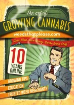 best cannabis seed stores