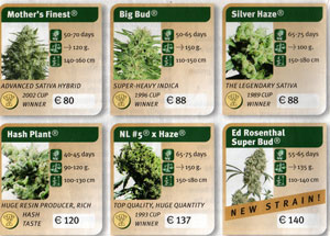 best weed seed strains