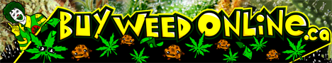 buy weed seeds in ireland