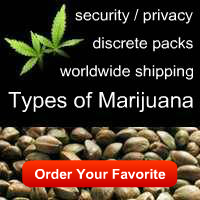 marijuana with seeds