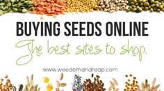 cannabis seed list