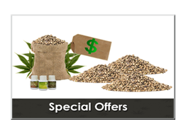 buy weed seeds online