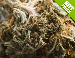 best marijuana seed banks