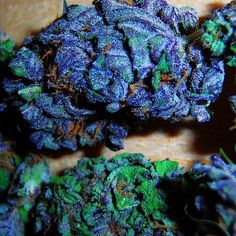 are marijuana seeds legal in australia
