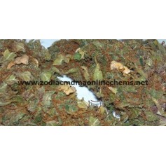 buy hydroponic weed seeds