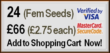 buy weed seeds sheffield