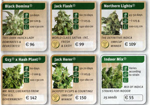 weed seeds for cheap