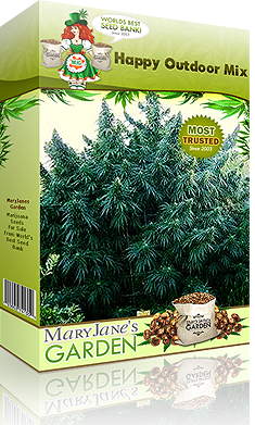 best place for weed seeds