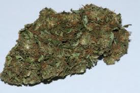 feminized marijuana seeds for sale