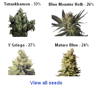 buy us weed seeds