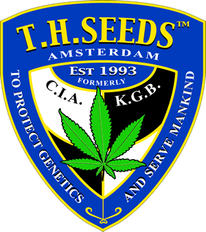 cheap weed seeds online