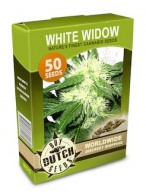 buy marijuana seeds onlin