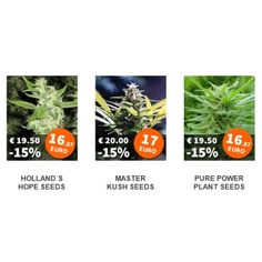 can you buy weed seeds online usa