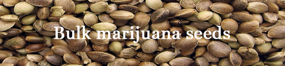 marijuana seed sale