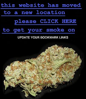 buy marijuana seeds online us