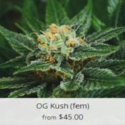 canadian marijuana seeds