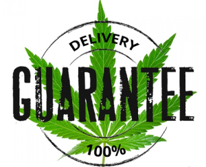 best place to buy weed seeds online