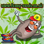 buy marijuana seeds online in the united states