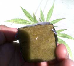 canada cannabis seeds for sale