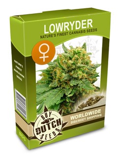 outdoor marijuana seeds